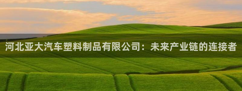太阳集团网址8722：河北亚大汽车塑料制品有限公司：未来产业