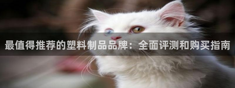 太阳集团网站5017：最值得推荐的塑料制品品牌：全面评测和购