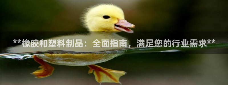 高淳红太阳集团：**橡胶和塑料制品：全面指南，满足您的行业需