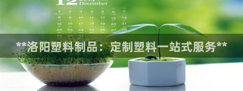 太阳集团房地产：**洛阳塑料制品：定制塑料一站式服务**
