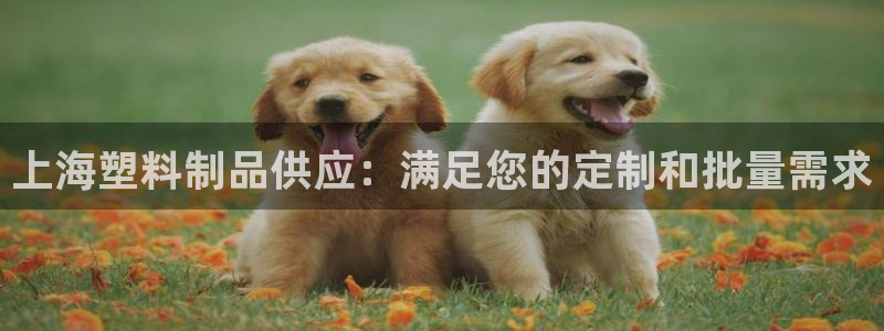 太阳集团董事长是谁呀：上海塑料制品供应：满足您的定制和批量需
