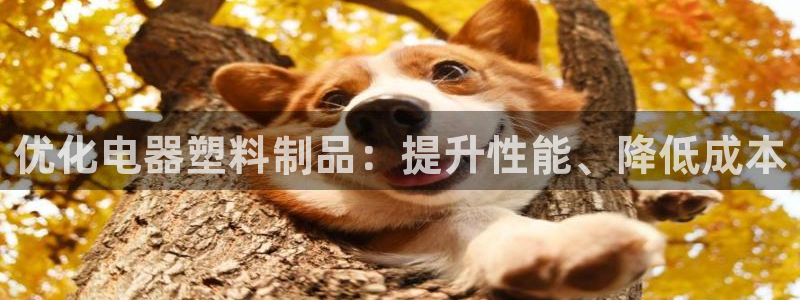 太阳成集团tyc234cc[主页]网址：优化电器塑料制品：提