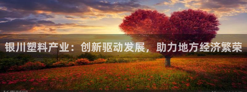 太阳成集团游戏：银川塑料产业：创新驱动发展，助力地方经济繁荣