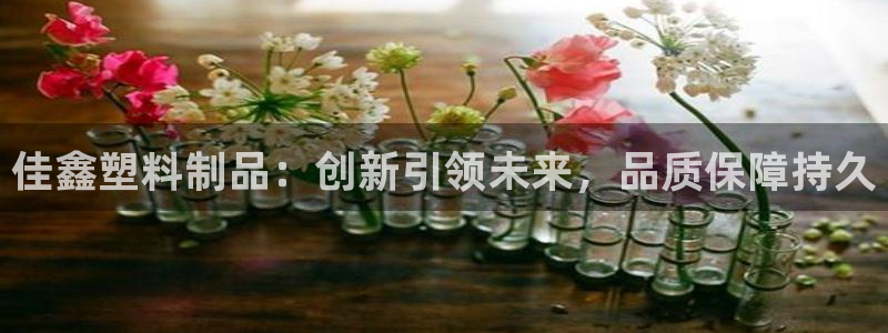 太阳成集团tyc151：佳鑫塑料制品：创新引领未来，品质保障