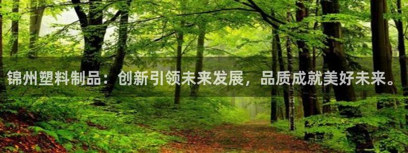 太阳2官方下载：锦州塑料制品：创新引领未来发展，品质成就美好
