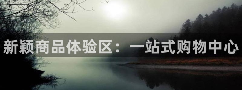 太阳诚集团有限公司是国企吗：新颖商品体验区：一站式购物中心