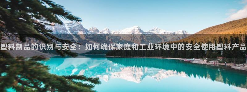 太阳集团是一家什么公司：塑料制品的识别与安全：如何确保家庭和
