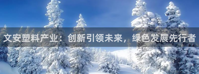 太阳集团电视剧：文安塑料产业：创新引领未来，绿色发展先行者
