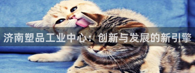 太阳集团app：济南塑品工业中心：创新与发展的新引擎