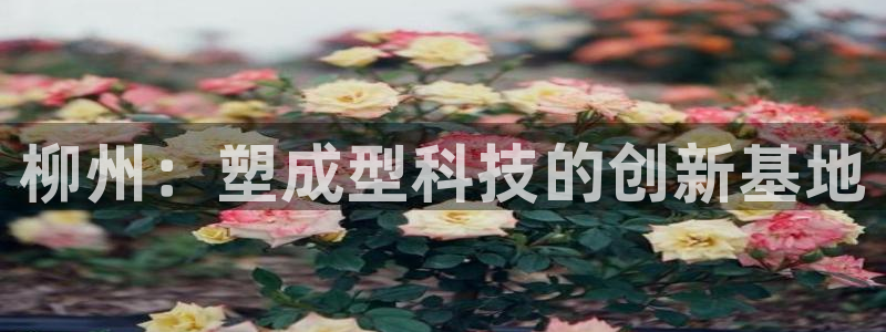 太阳集团城网：柳州：塑成型科技的创新基地