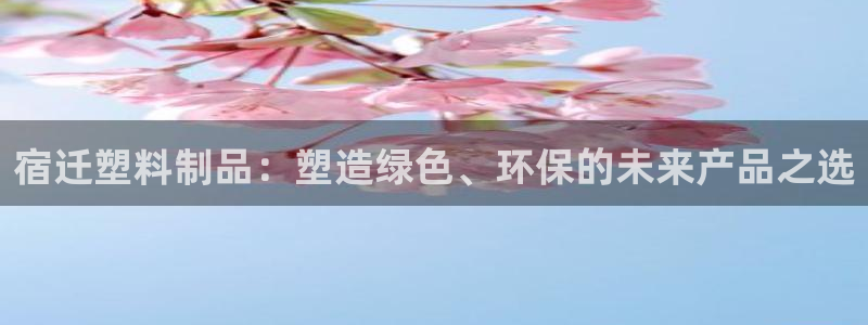 太阳app官网：宿迁塑料制品：塑造绿色、环保的未来产品之选