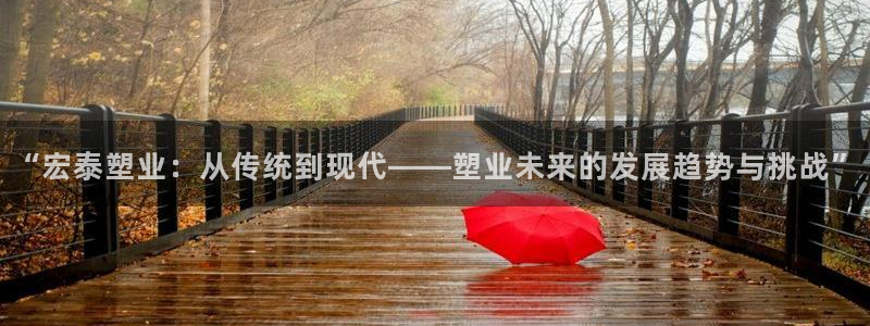 太阳集团备用网址：“宏泰塑业：从传统到现代——塑业未来的发展