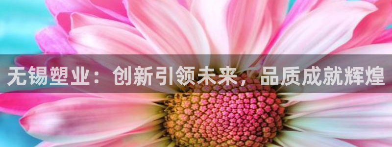 太阳sun网站：无锡塑业：创新引领未来，品质成就辉煌