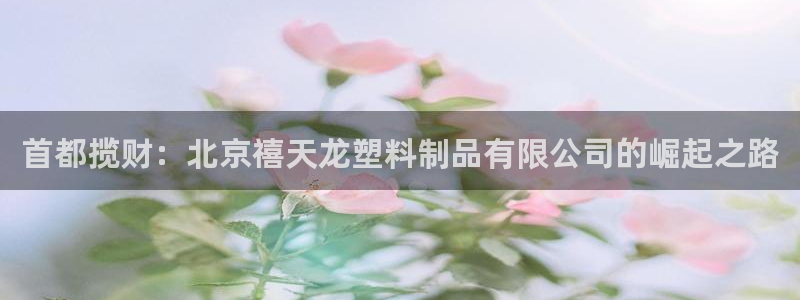 15vip太阳集团官网：首都揽财：北京禧天龙塑料制品有限公司