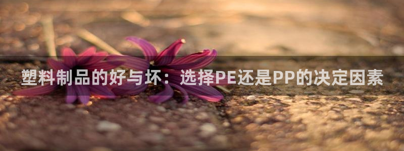 太阳集团城官方app：塑料制品的好与坏：选择PE还是PP的决