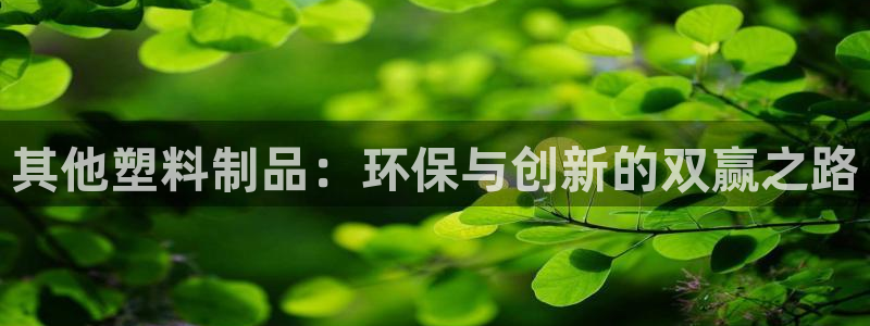 太阳集团城2017：其他塑料制品：环保与创新的双赢之路