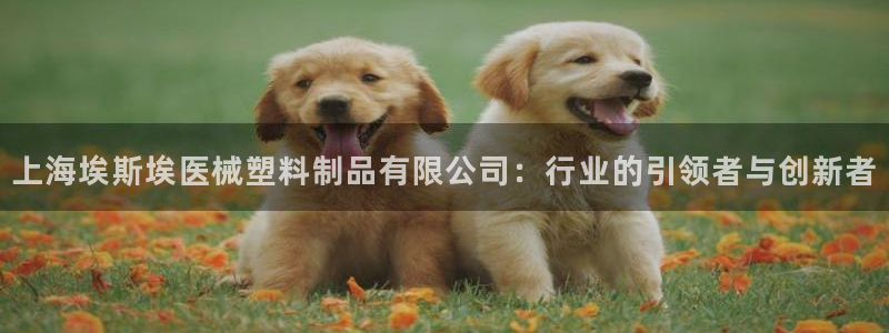 太阳诚集团有限公司有多少人：上海埃斯埃医械塑料制品有限公司：