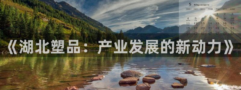 太阳成集团tyc234cc振兴：《湖北塑品：产业发展的新动力
