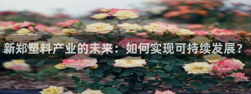 太阳集团入口官网网址：新郑塑料产业的未来：如何实现可持续发展