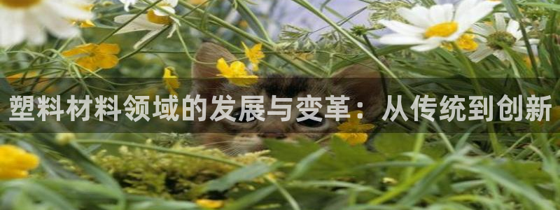 太阳商城贵宾会：塑料材料领域的发展与变革：从传统到创新