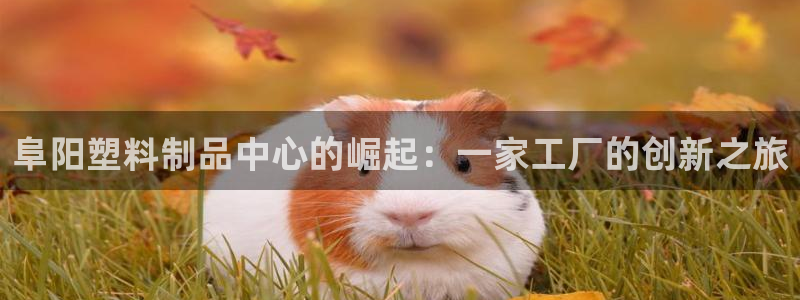 太阳app怎么下载：阜阳塑料制品中心的崛起：一家工厂的创新之