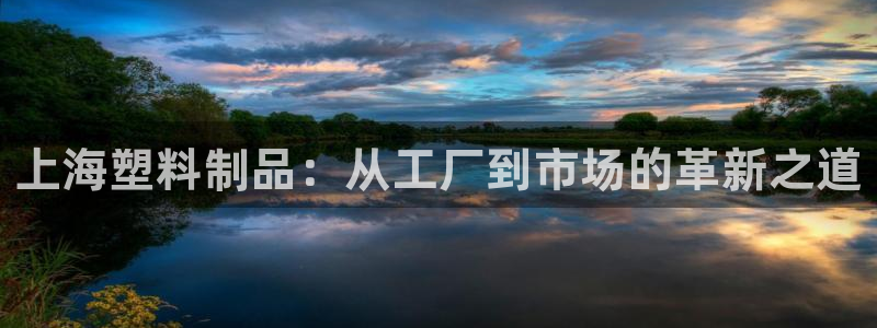太阳成集团mmm671：上海塑料制品：从工厂到市场的革新之道