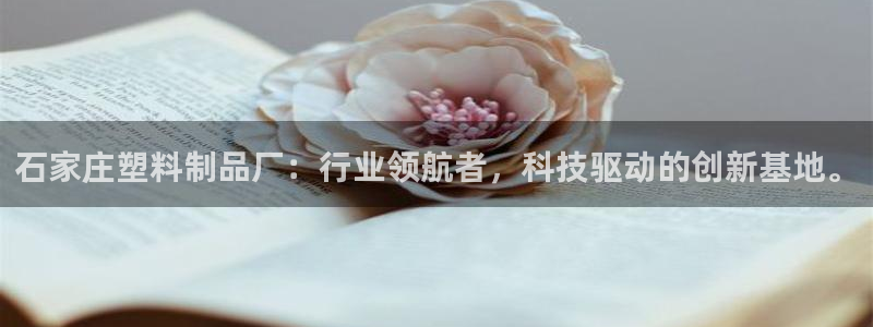 太阳集团洗米华菲律宾：石家庄塑料制品厂：行业领航者，科技驱动