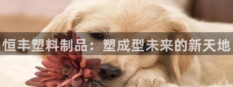 太阳集团在中国合法吗：恒丰塑料制品：塑成型未来的新天地