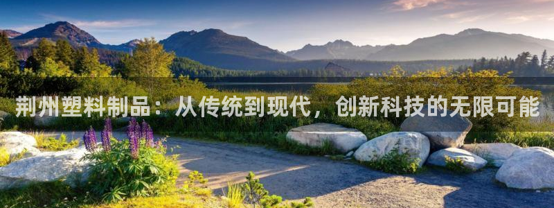 太阳成集团mmm671：荆州塑料制品：从传统到现代，创新科技