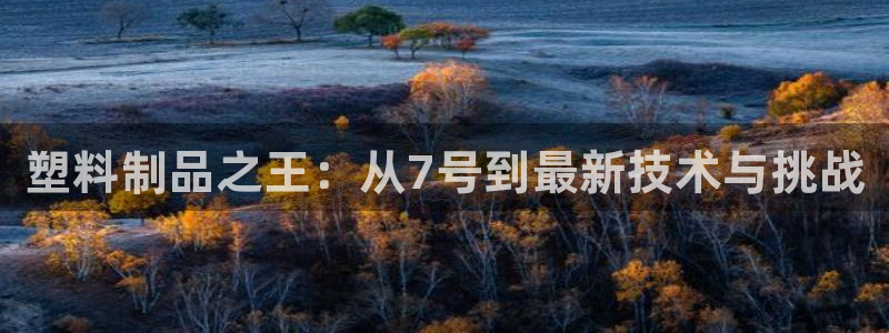 高淳红太阳集团：塑料制品之王：从7号到最新技术与挑战