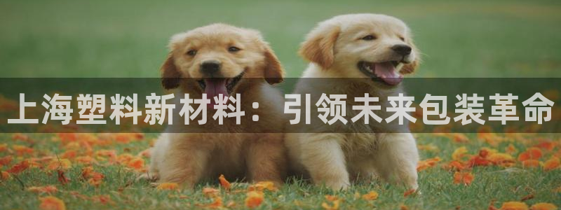 太阳集团娱乐场：上海塑料新材料：引领未来包装革命