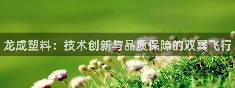 太阳成集团tyc234cc官网：龙成塑料：技术创新与品质保障