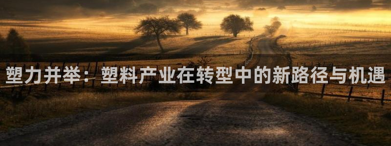 太阳集团总裁：塑力并举：塑料产业在转型中的新路径与机遇