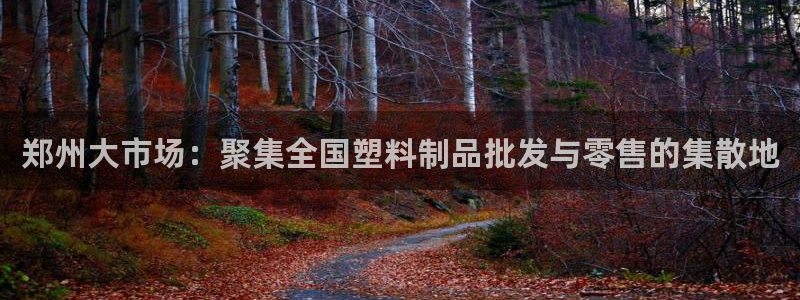 122cc太阳集成游戏官方网站：郑州大市场：聚集全国塑料制品