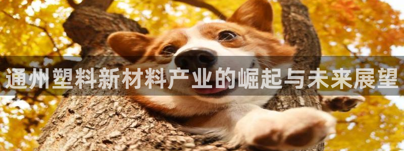太阳集团城所有网址：通州塑料新材料产业的崛起与未来展望
