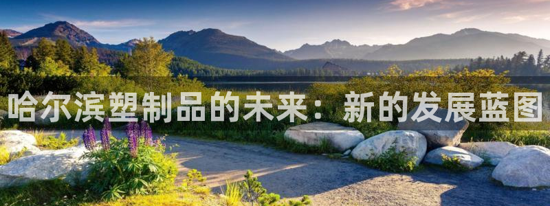 太阳成集团tyc122cc客服：哈尔滨塑制品的未来：新的发展