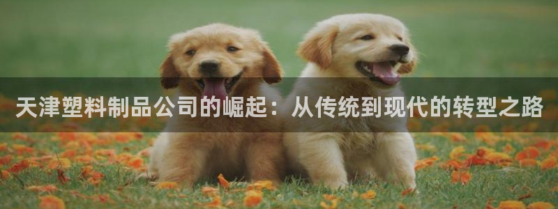 太阳集团控股有限公司官网香港：天津塑料制品公司的崛起：从传统