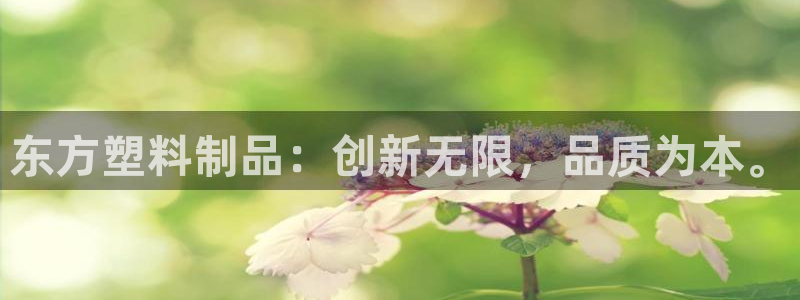 太阳成集团tyc234cc投资控股集团：东方塑料制品：创新无