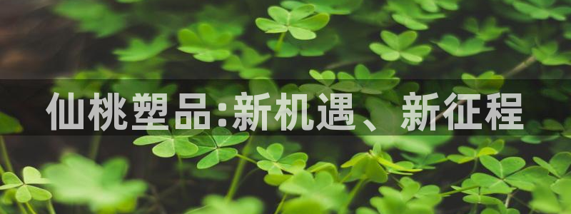太阳集团总裁：仙桃塑品:新机遇、新征程