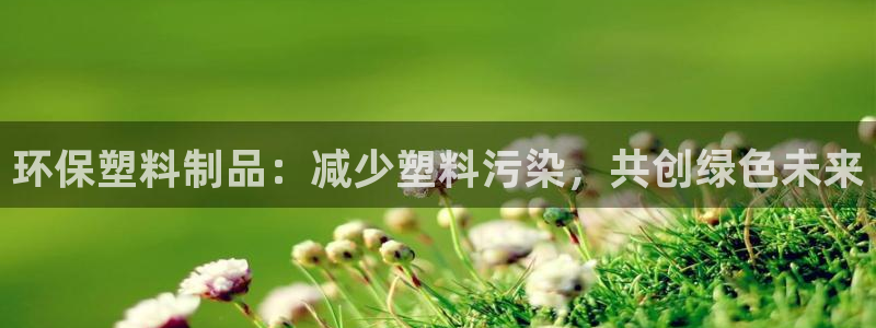 太阳阳城集团有限公司：环保塑料制品：减少塑料污染，共创绿色未