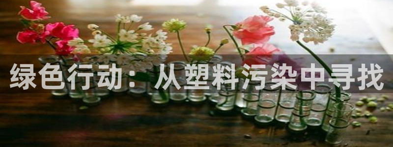 太阳app免费下载官方网站：绿色行动：从塑料污染中寻找