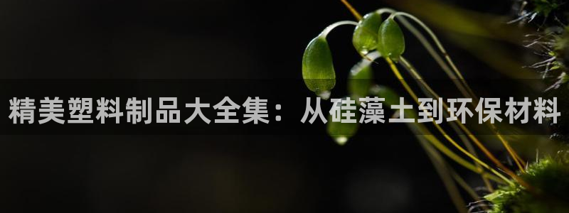 太阳集团官网导航首页：精美塑料制品大全集：从硅藻土到环保材料