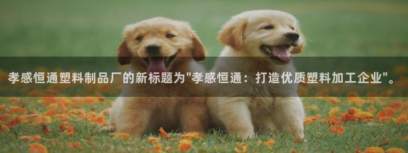 太阳集团城娱8722官方网站：孝感恒通塑料制品厂的新标题为\