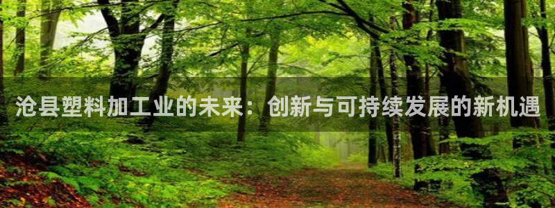 太阳gg登录：沧县塑料加工业的未来：创新与可持续发展的新机遇