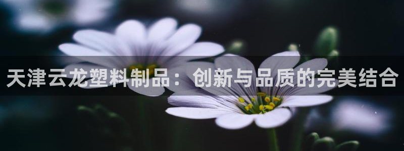 古天乐和太阳集团什么关系知乎：天津云龙塑料制品：创新与品质的